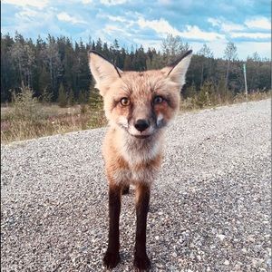 Meet your Posher, Joseph